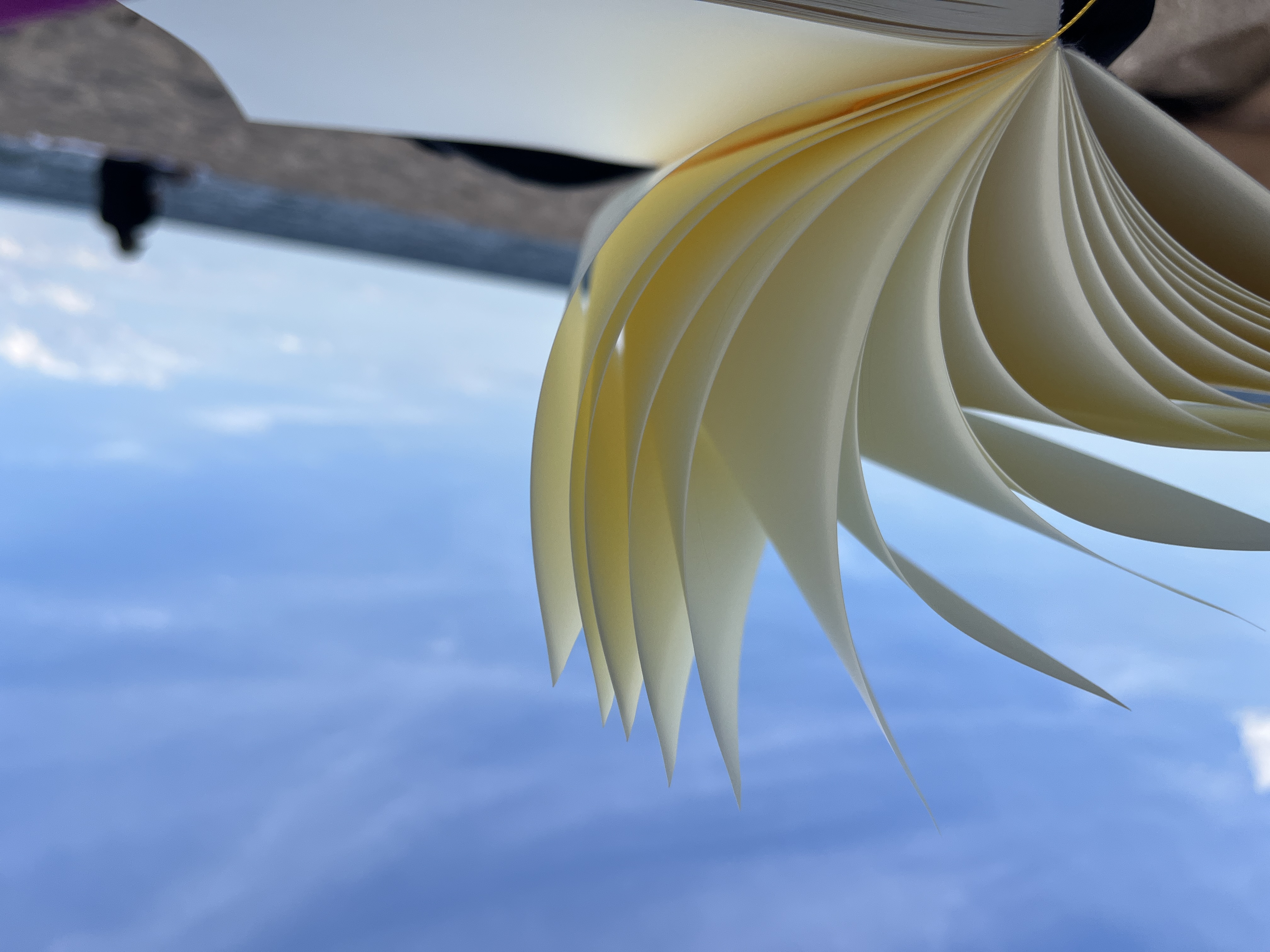 21-4