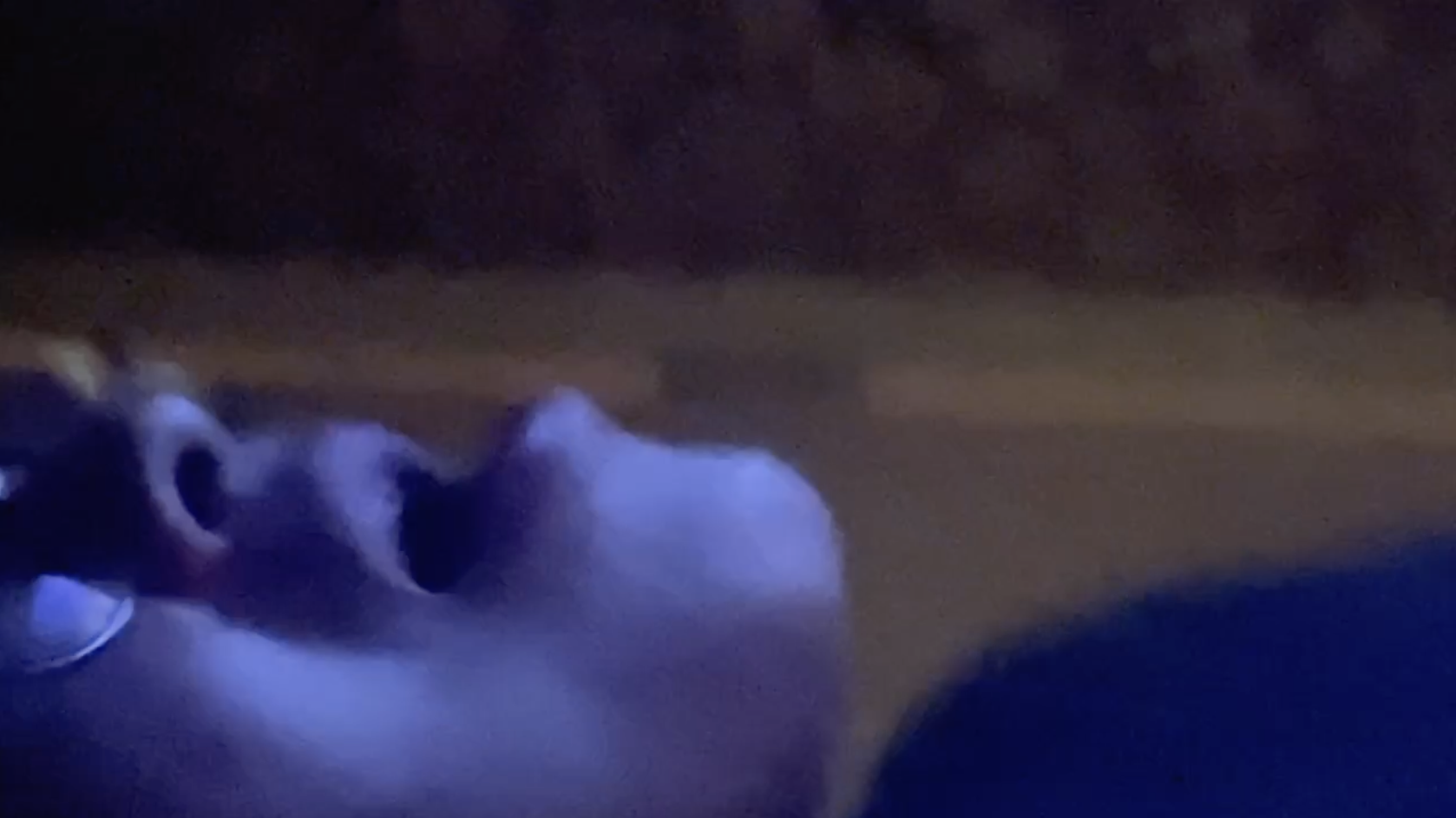 7-2